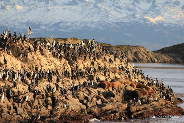ushuaia-colonia