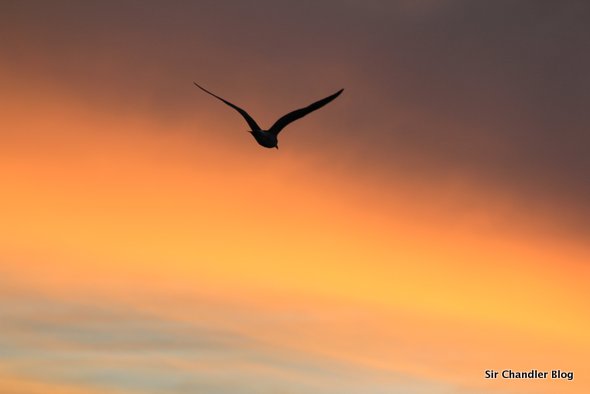 ushuaia-vuelo-atardecer