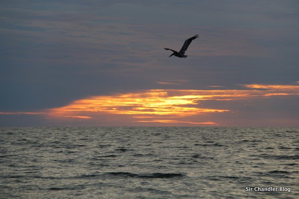 mar-ocaso