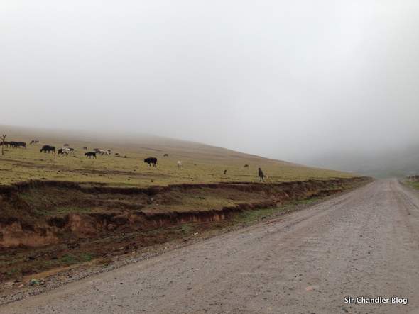 tafi-del-valle-camino