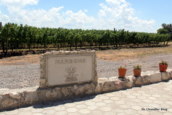 narbona-vinedo