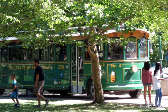 colectivo-niagara