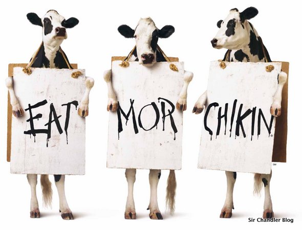 Chick-fil-A-vacas