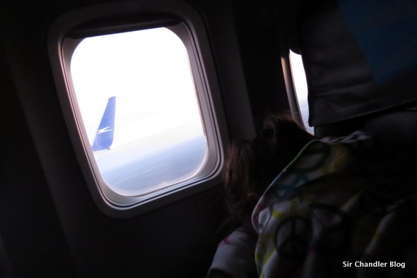ventana-737-aerolineas