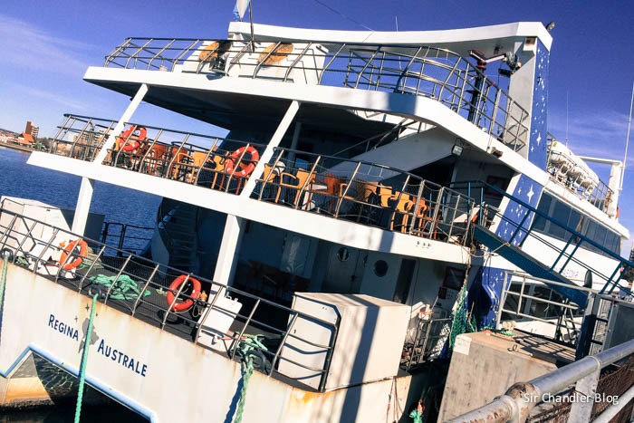 madryn-regina-australe