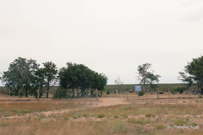 recreos-ruta-desierto