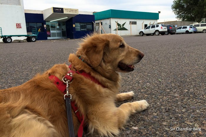 phoebe-espera-aeropuerto