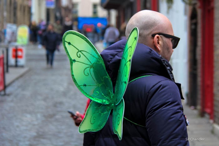 st-patrick-mariposa