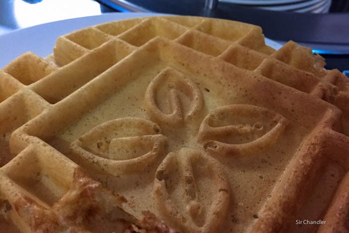 14-hilton-garden-wafle