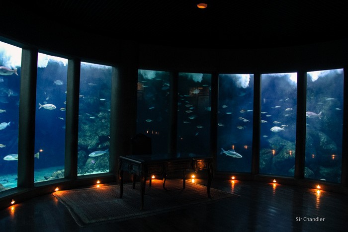 coruna-acuario