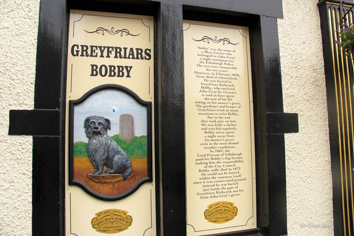 harry-potter-bobby