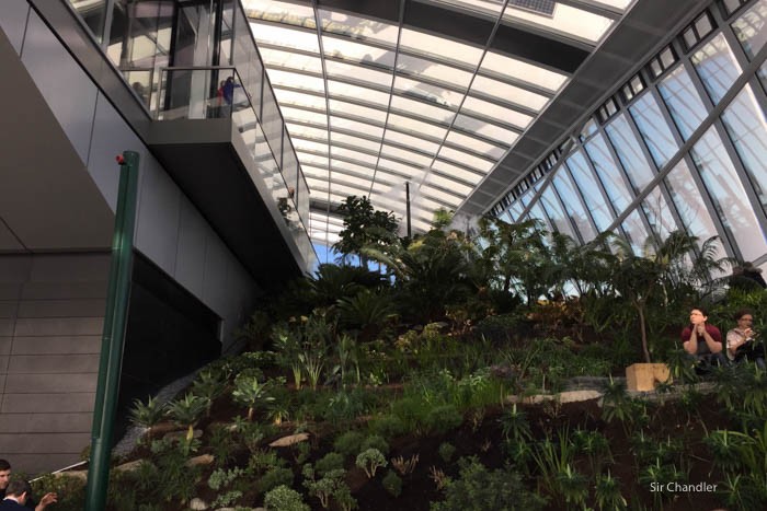 6-skygarden-plantas