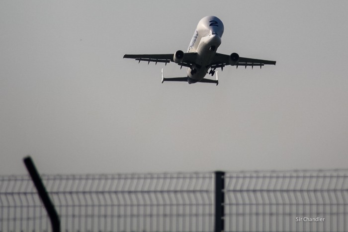 airbus-beluga-despegando