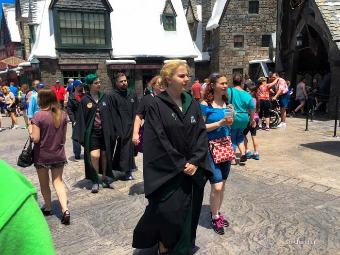 fans-harry-potter