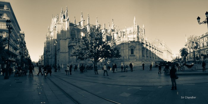 sevilla-panoramica-catedral