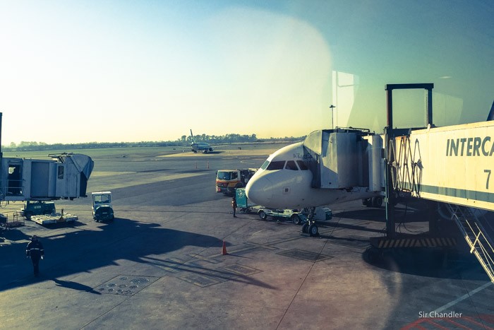 5-ezeiza-manga-intercargo