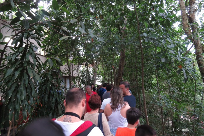 7-fila-pan-azucar-rio-5061