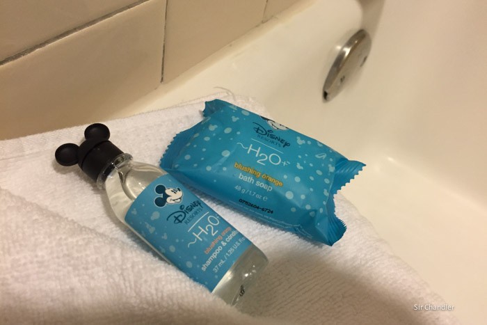 6-amenities-hotel-disney