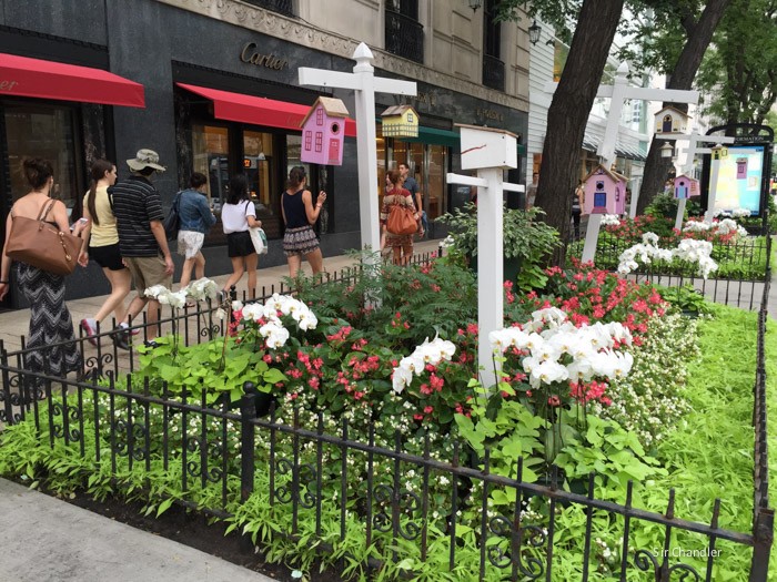 chicago-flores