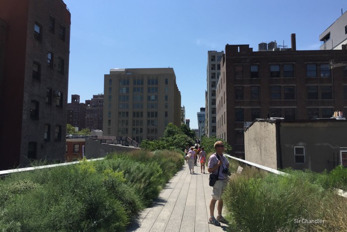 highline-new-york--5