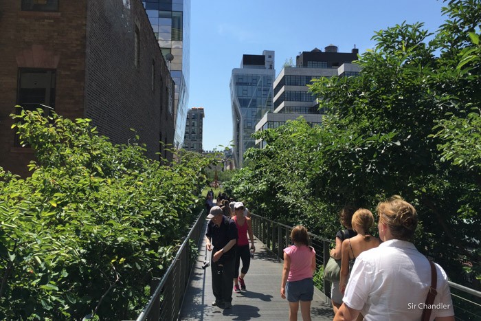 highline-new-york--9