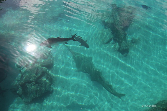 atlantis-bahamas-0716