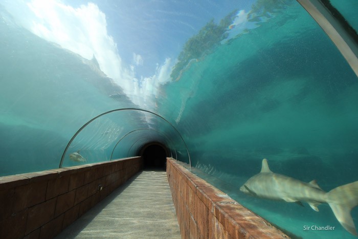 atlantis-bahamas-0718