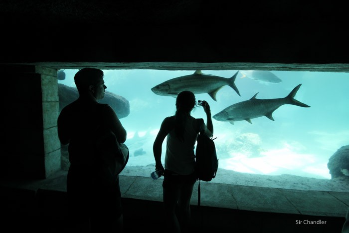atlantis-bahamas-0723