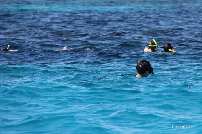 bahamas-snorkel-0076
