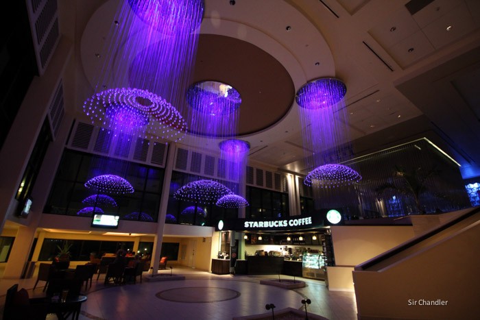 melia-nassau-0056