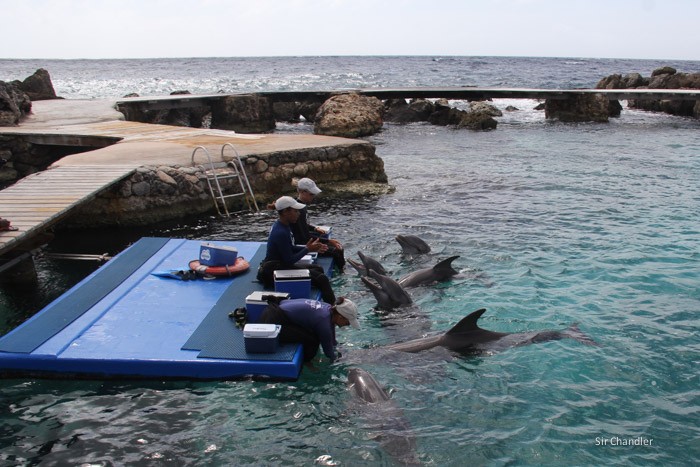 pullmantur-curacao-0219