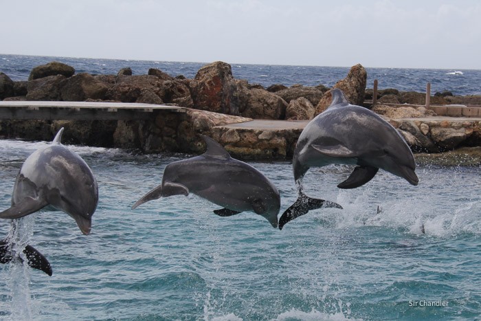 pullmantur-curacao-0505