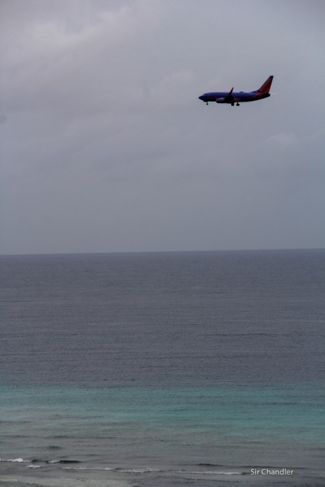 14-spotting-aruba
