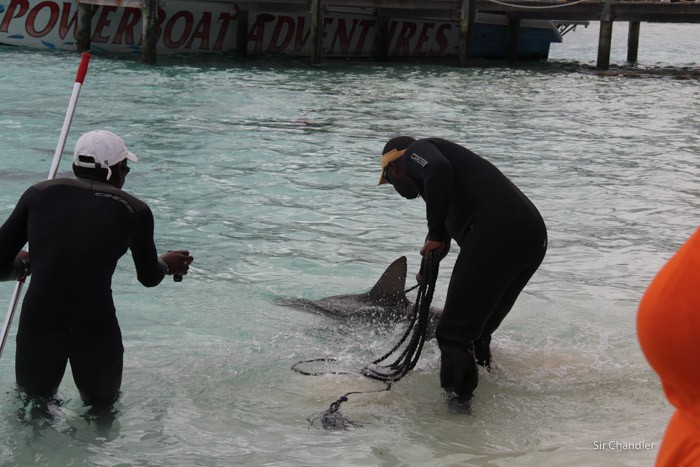 bahamas-islas-0331