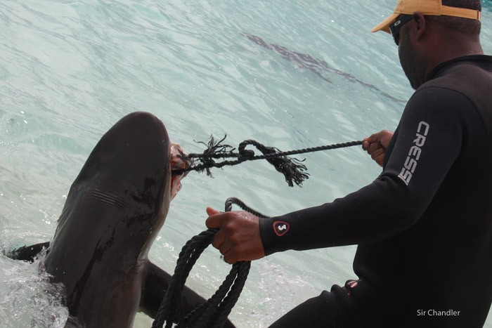 bahamas-islas-0354