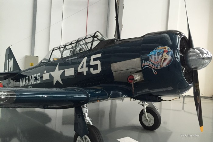 museo-tam-3523