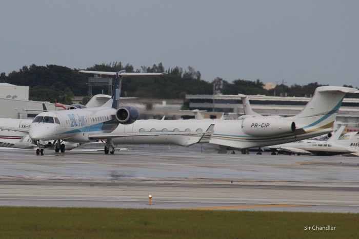 spotting-fort-lauderdale-0034