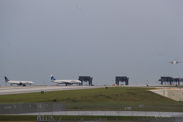 spotting-fort-lauderdale-0036