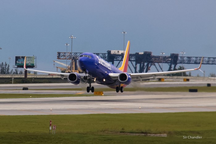 spotting-fort-lauderdale-0045