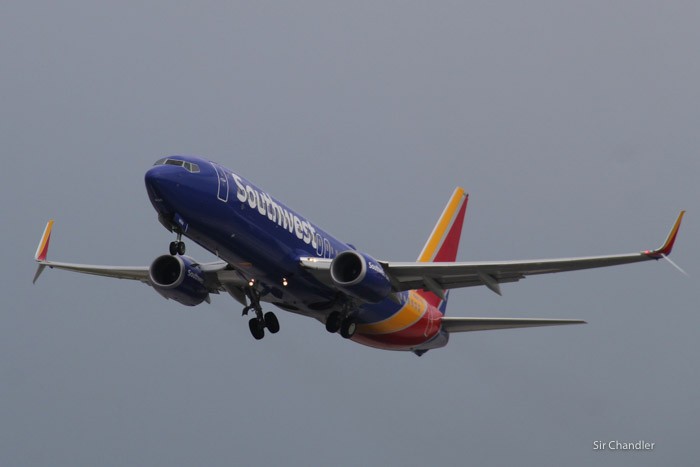 spotting-fort-lauderdale-0048