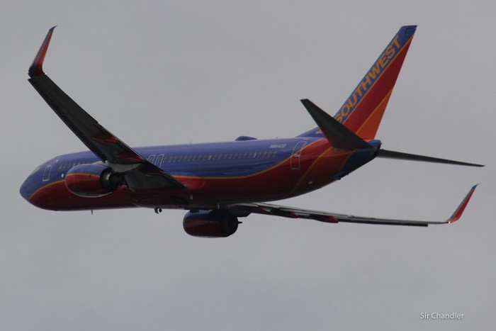 spotting-fort-lauderdale-0092