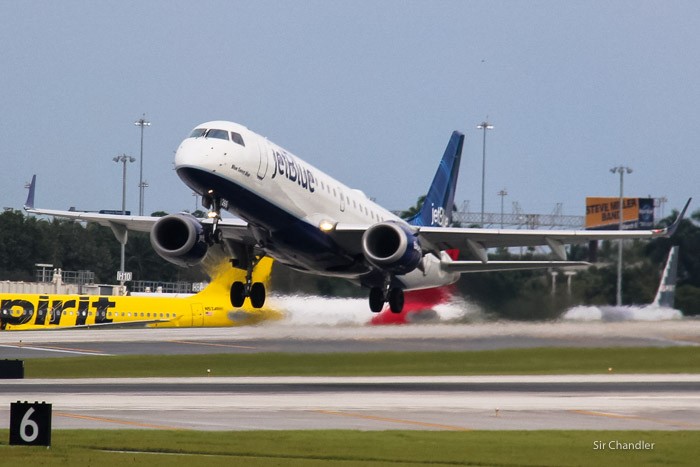 spotting-fort-lauderdale-0100