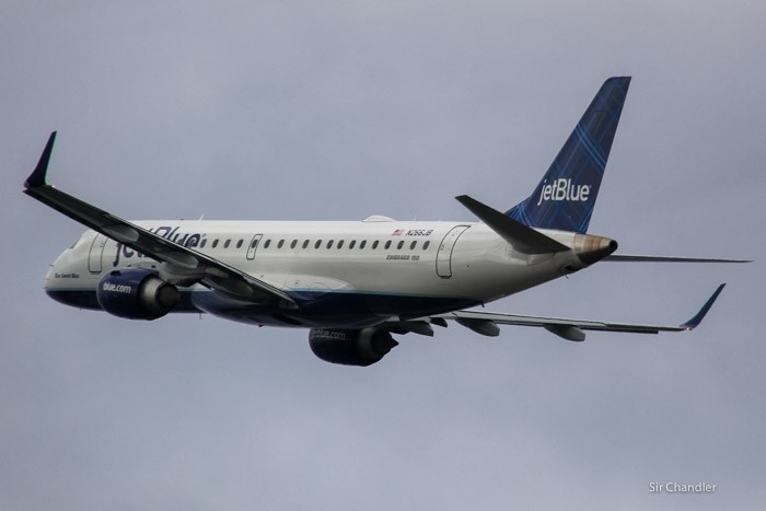 spotting-fort-lauderdale-0116