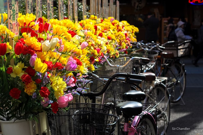 flores-plastico-japon-0189