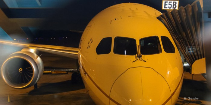 D-787-united