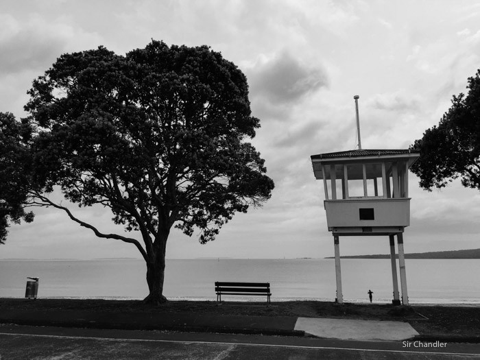 auckland-postales-3825