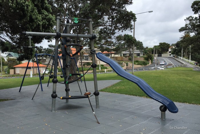 auckland-postales-3826