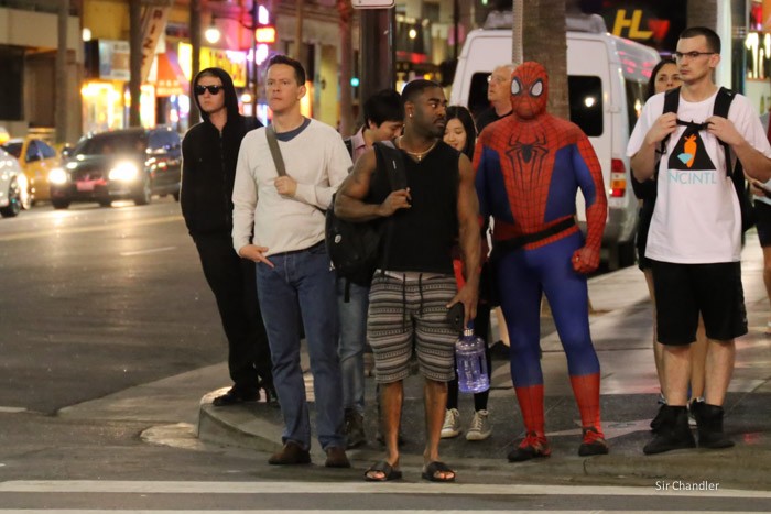 hollywood-0647