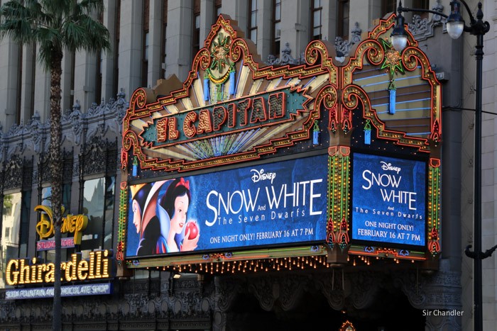 hollywood-6619