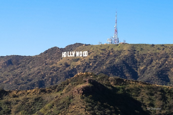 hollywood-cartel-los-angeles